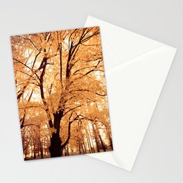Autumn Stationery Cards
