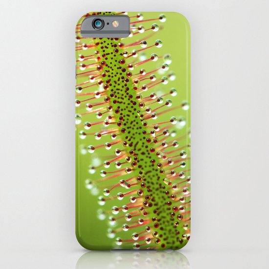 Beautiful Predator iPhone & iPod Case