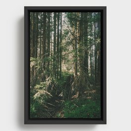 Nordic Woodland  Framed Canvas