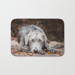 Irish Wolfhound lies on the pad with fallen autumn leaves. Bath Mat