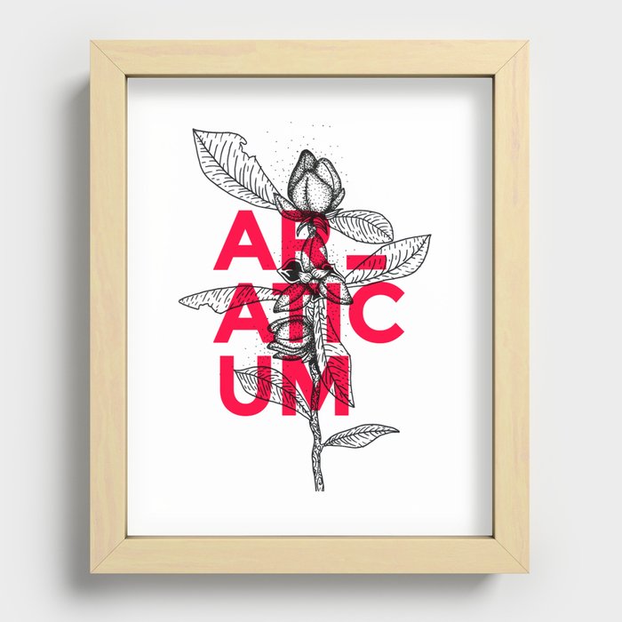 Araticum Recessed Framed Print