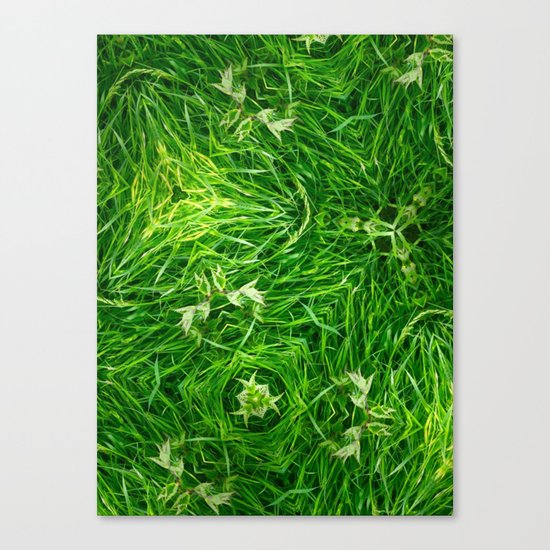 The Mystery Of The Grass Canvas Print