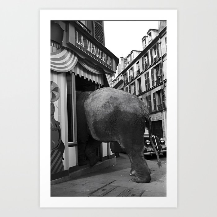 An elephant walks into a bar ... funny animal alcoholic beverages liquor humor black and white photograph - photography - photographs Art Print