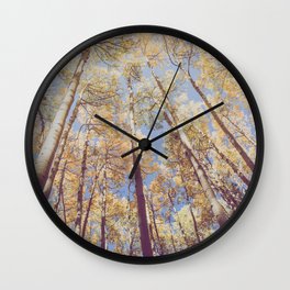 Looking Up II x Aspen Forest Colorado Photography Wall Clock