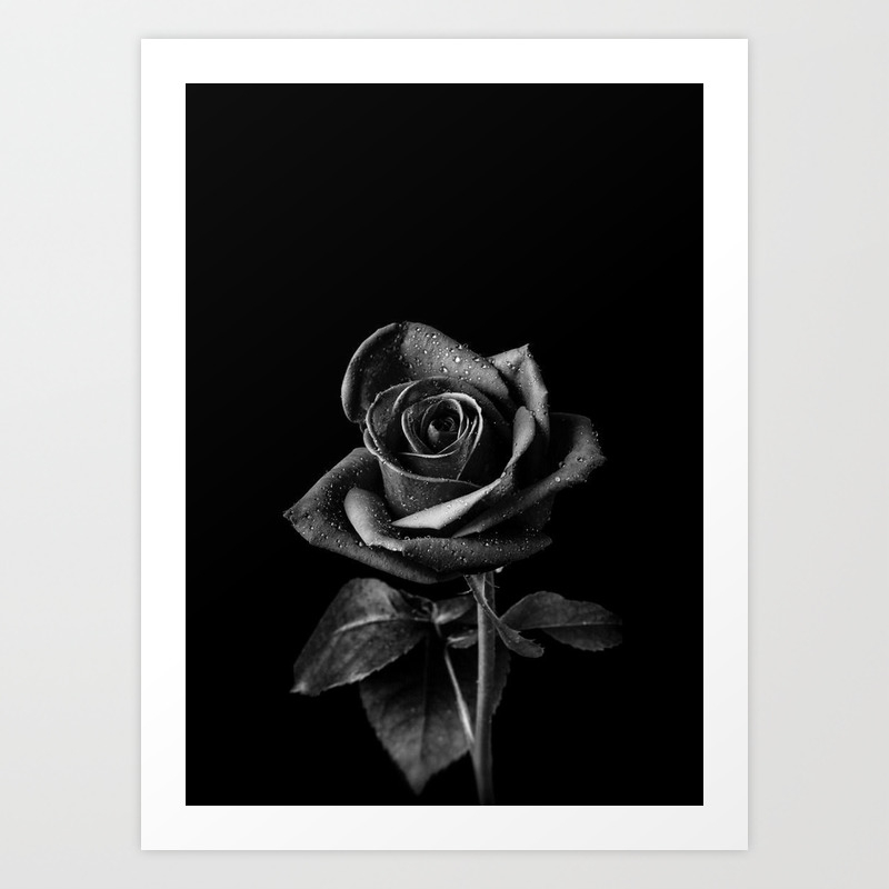 Black Roses Art Print By Draw4you Society6
