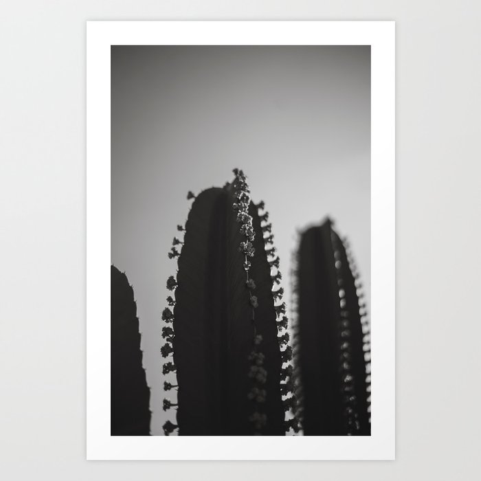 Cactus Photography - Black and White #4 Art Print