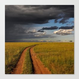 South Africa Photography - Desolate Road Going Through A Savannah Canvas Print