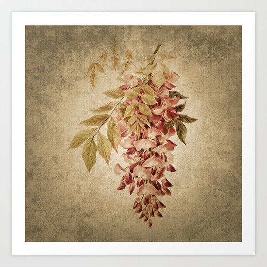 Vintage Wisteria Art Print