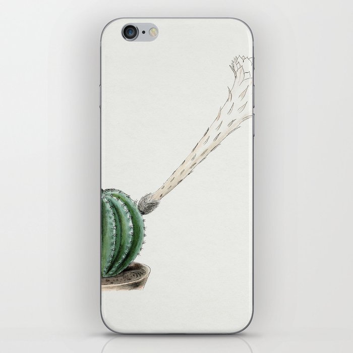 Easter Lily Cactus iPhone Skin