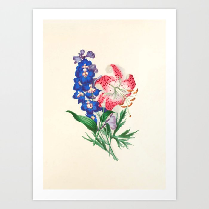  Larkspur and Japan lily by Clarissa Munger Badger, 1866 (benefitting The Nature Conservancy) Art Print