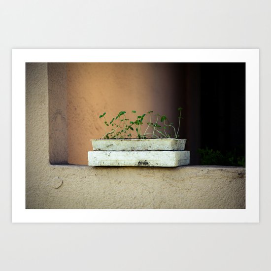Seedlings Art Print