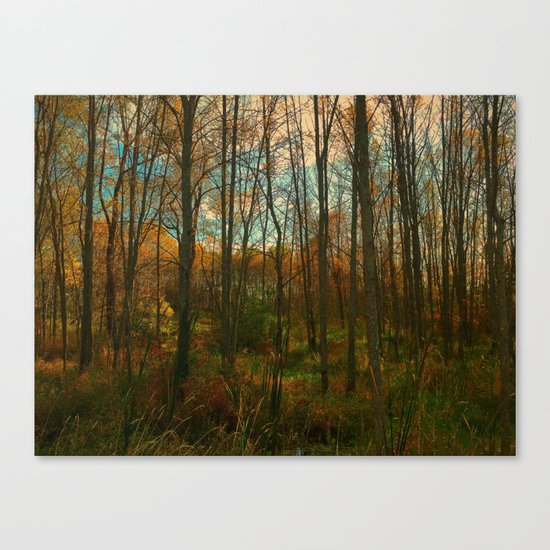 Fall Encroachment Canvas Print
