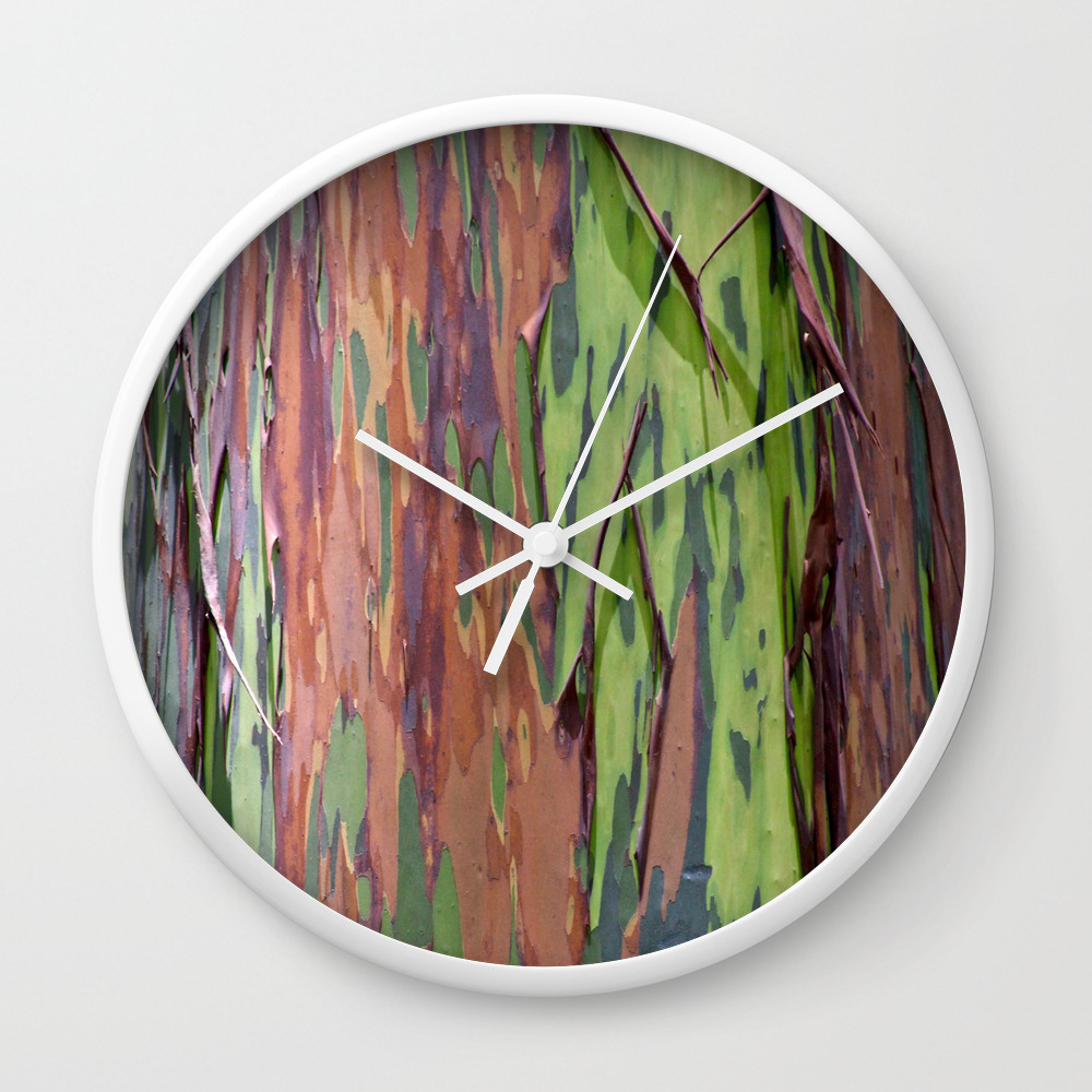 Rainbow Eucalyptus Tree Wall Clock 