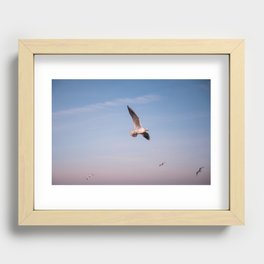 Sea gull Recessed Framed Print