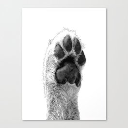 Black and White Dog Paw Canvas Print