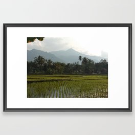 sawah Framed Art Print