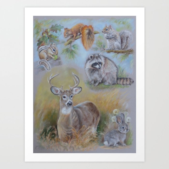 North American Mammals Wildlife Animal collage Pastel drawing Squirrel Raccoon Chipmunk Deer Rabbit Art Print