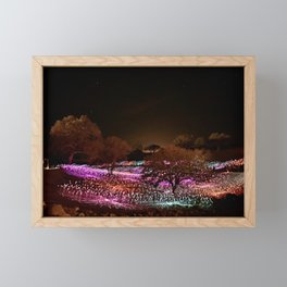 Field of Light Framed Mini Art Print