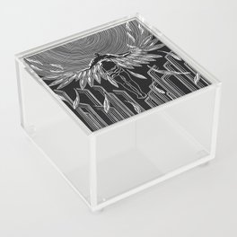 Icarus Acrylic Box