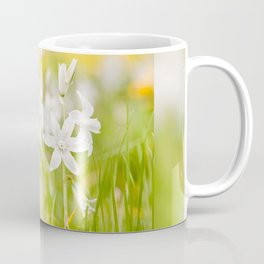 White Ornithogalum nutans pretty bloom Coffee Mug