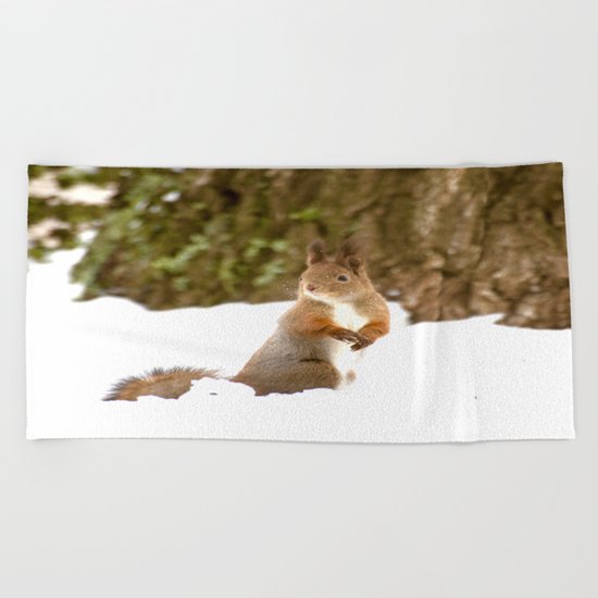Cute Squirrel In The Forest Beach Towel