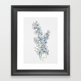 Blue Delphinium Flowers Framed Art Print