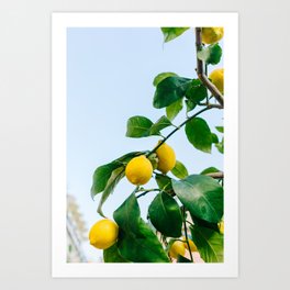 Amalfi Coast Lemons III Art Print