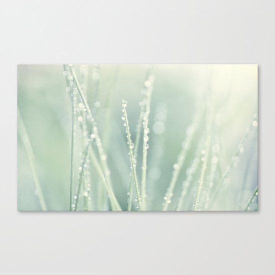 grass Canvas Print