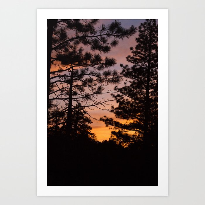 Sunset Between The Trees pt. 2 Art Print