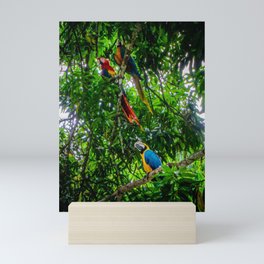 Macaws In The Forest Mini Art Print