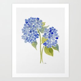 Blue Gouache Hydrangea Art Print