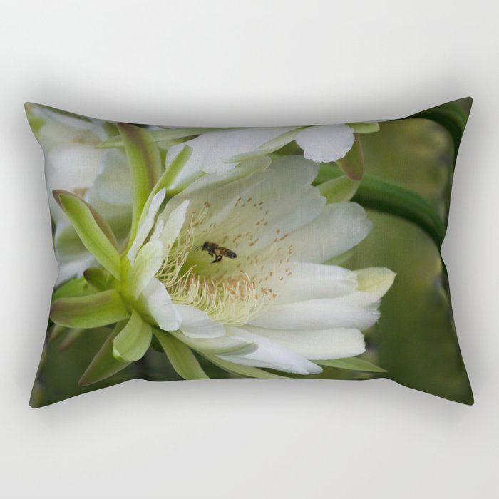 Cereus Morning  Rectangular Pillow