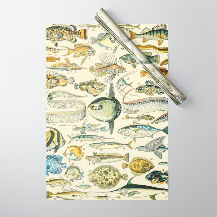 https://ctl.s6img.com/society6/img/z7mS5zINeR11G0XZ-NaEyiGpjMo/w_700/wrapping-paper/standard/rolled/~artwork,fw_6075,fh_8775,fx_-410,iw_6894,ih_8775/s6-original-art-uploads/society6/uploads/misc/4e1641af9ad94808a66d013fa0497fa7/~~/vintage-fishing-and-eel-illustration-drawing-by-adolphe-millot-of-underwater-sea-creatures5985870-wrapping-paper.jpg