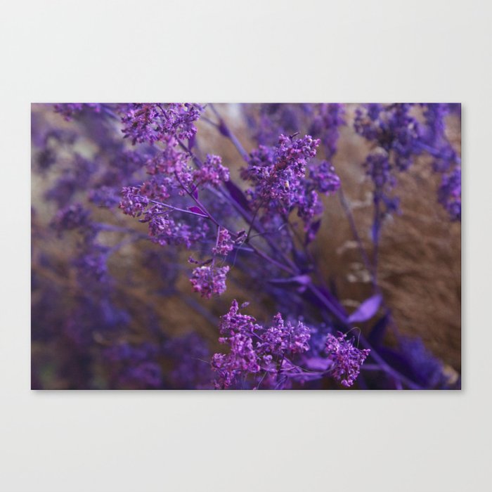 Purple Flowers #2 Canvas Print