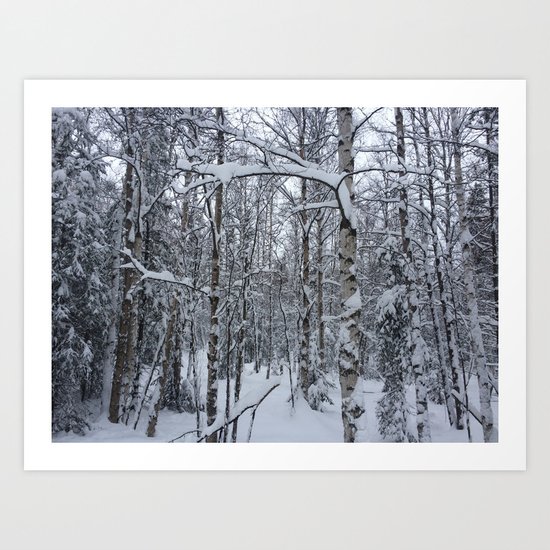 Winter Forest Art Print