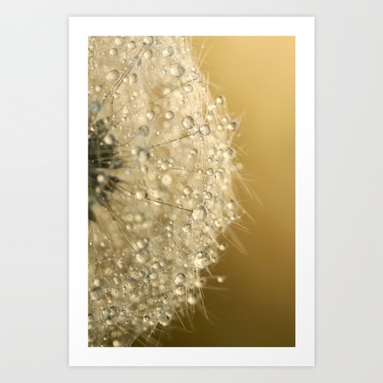 Sun Sparkled Dandy Art Print