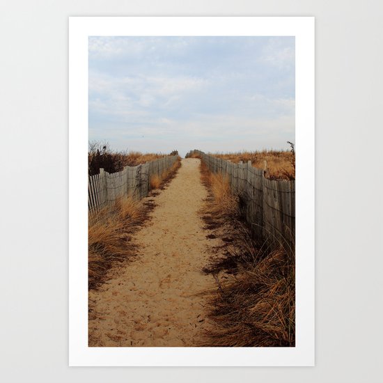 Path to the Beach Art Print