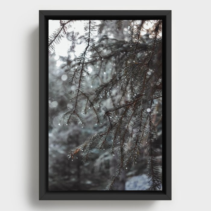 Frosted Tips Framed Canvas