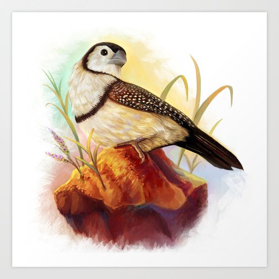 Owl Finches Realistic Painting Art Print By Lifewithbirds Society6