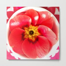 Peach Primrose Metal Print | Photo, Primel, Peach, Thecreativeminds, Primula, Floral, Primrose, Flower, Botanica, Closeup 