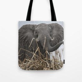 Elephant Along the Okavango River Tote Bag