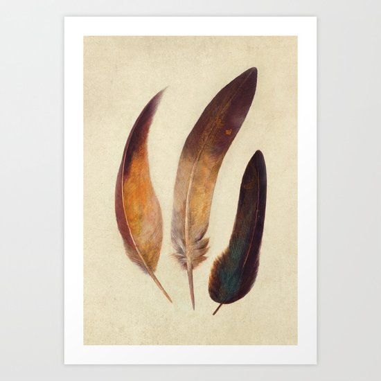 Three Feathers Art Print