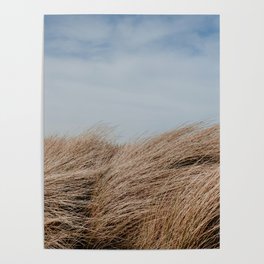 Beach life | Sand dunes | Nature | Landscape | Photography art print Poster
