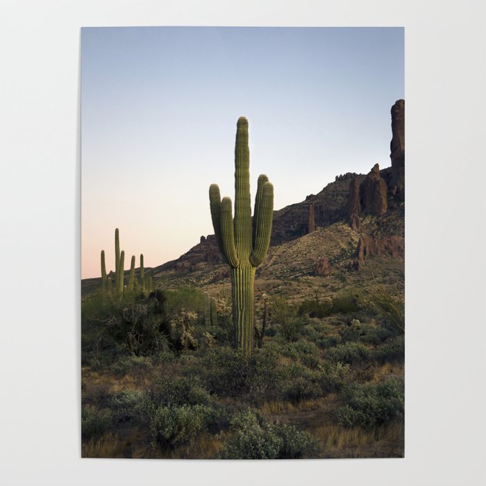 Saguaro.Superstition Mountains. Arizona. Desert. Sunset Poster