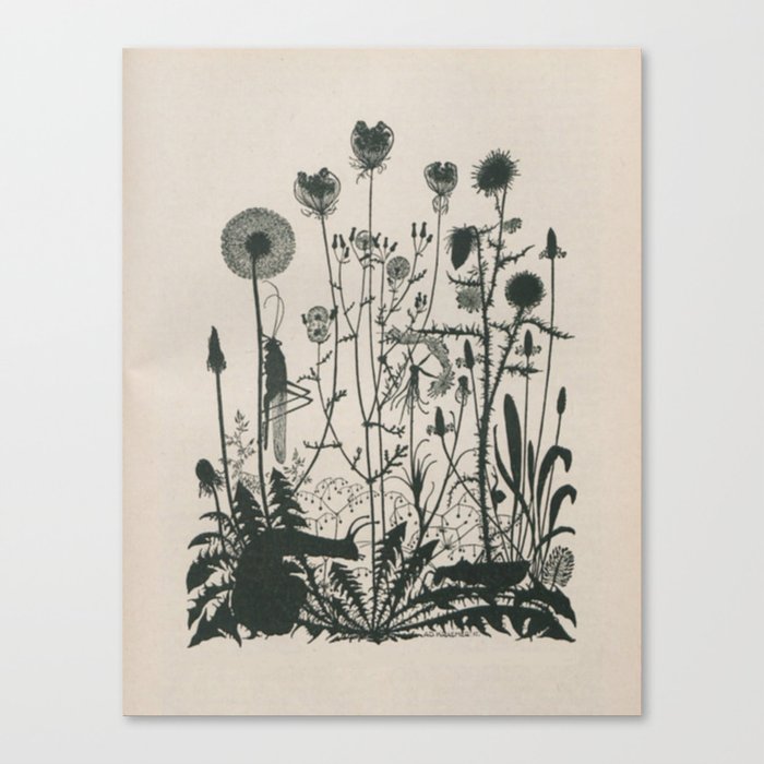 Canvas Print