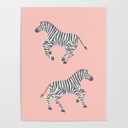 Galloping Zebras on Pink Poster