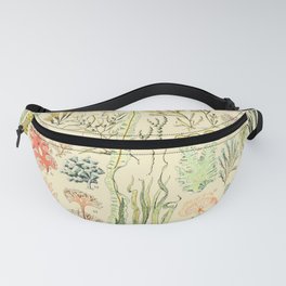 Seaweed and Coral Vintage Illustration Drawing by Adolphe Millot of Underwater Peach Pink Sea Plants Fanny Pack