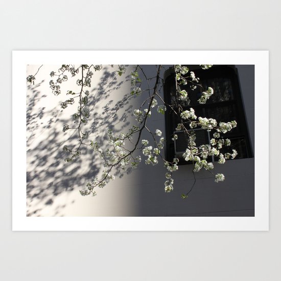 Springtime Art Print