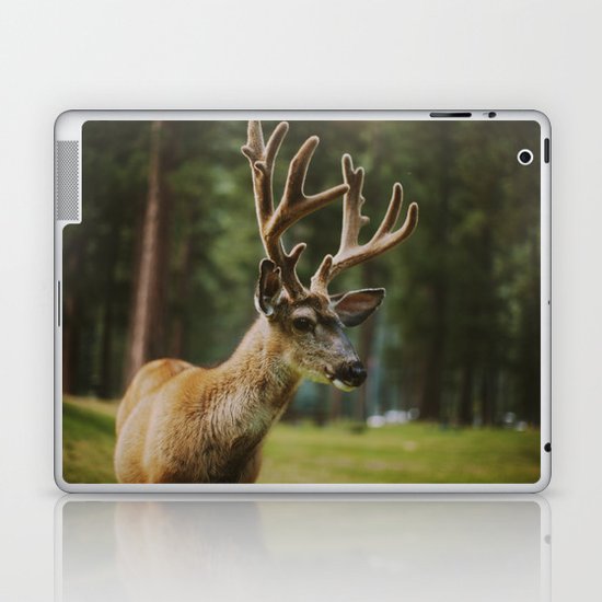 Joseph Laptop & iPad Skin
