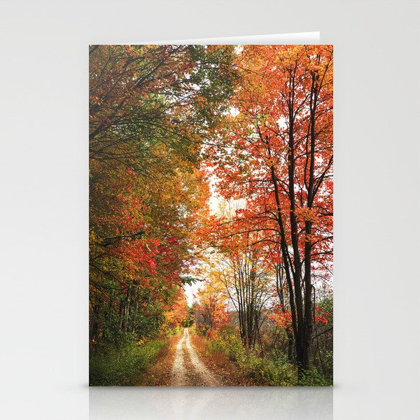 Trail in the woods in Autumn Stationery Cards